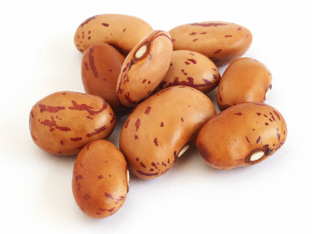 Pinto Beans